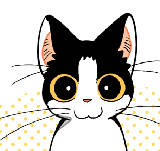 第11话 一只特立独行的猫