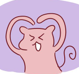 [特别篇3 ] 人气投票 & Q&A