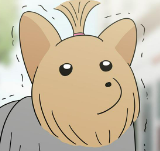 [第45话] 帮我实现愿望